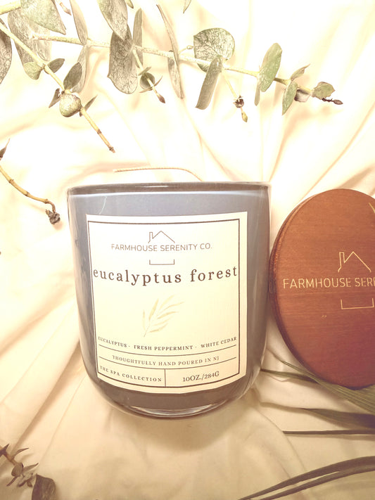 EUCALYPTUS FOREST